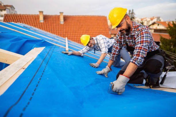 Professional Roofing Contractor in Seagraves, TX