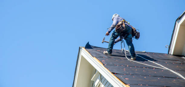 Best Roof Gutter Cleaning  in Seagraves, TX